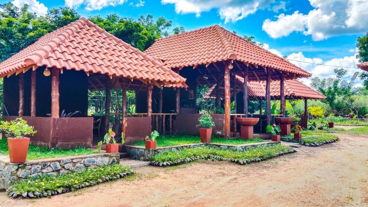 Ceylon Amigos Eco Resort Sigiriya Buitenkant foto