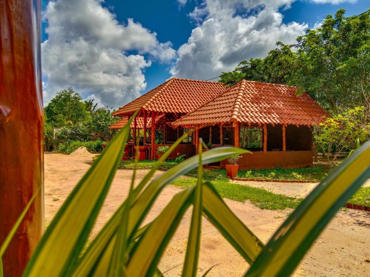 Ceylon Amigos Eco Resort Sigiriya Buitenkant foto