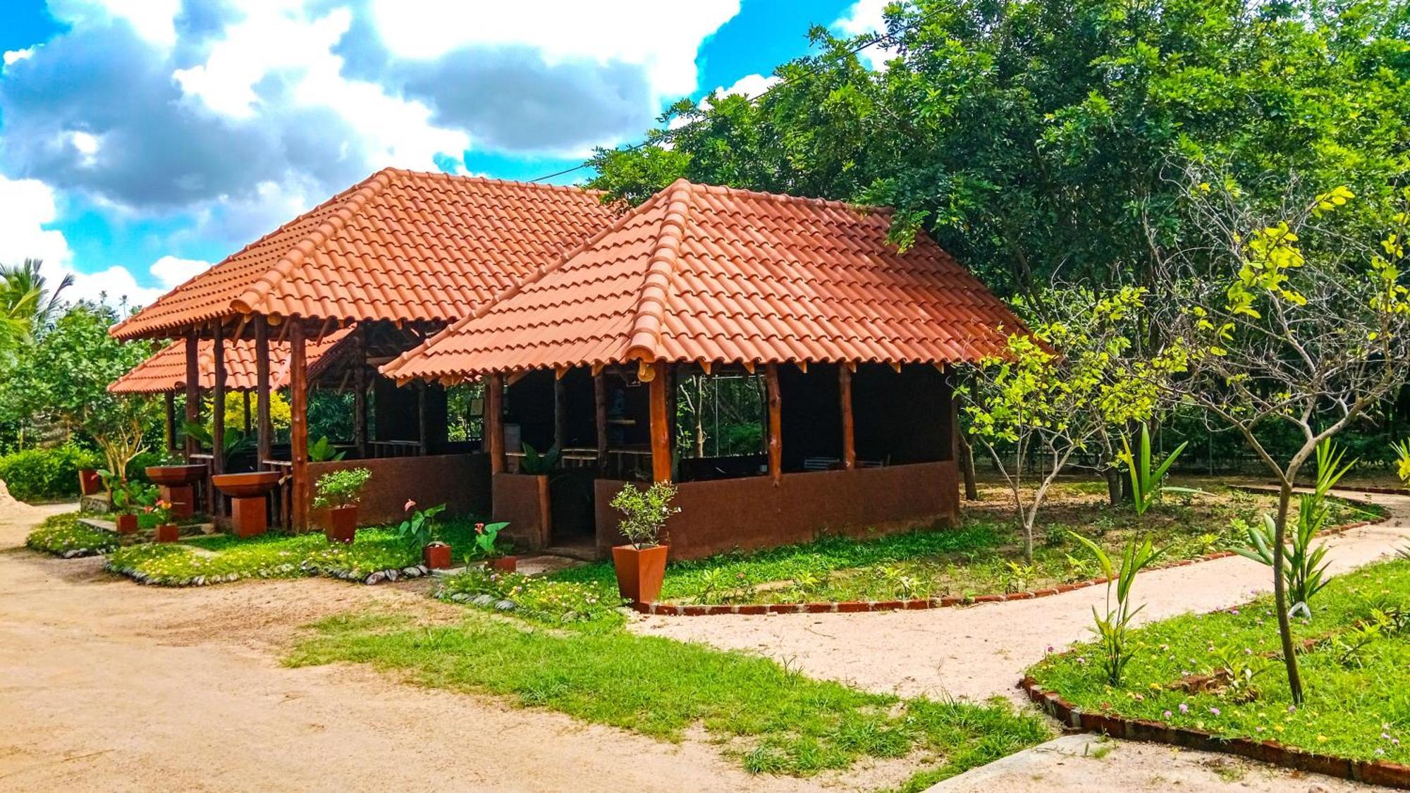 Ceylon Amigos Eco Resort Sigiriya Buitenkant foto