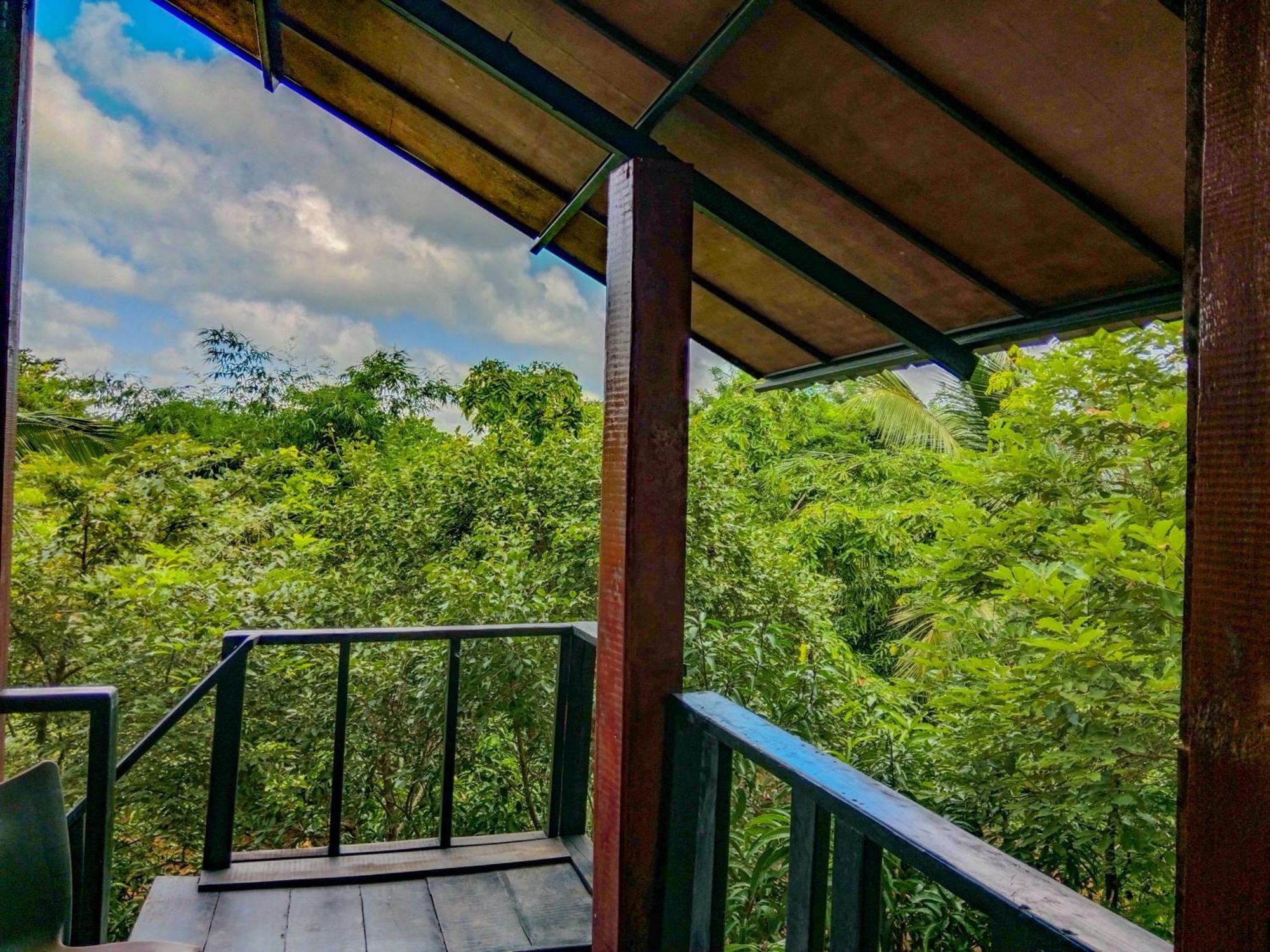 Ceylon Amigos Eco Resort Sigiriya Buitenkant foto