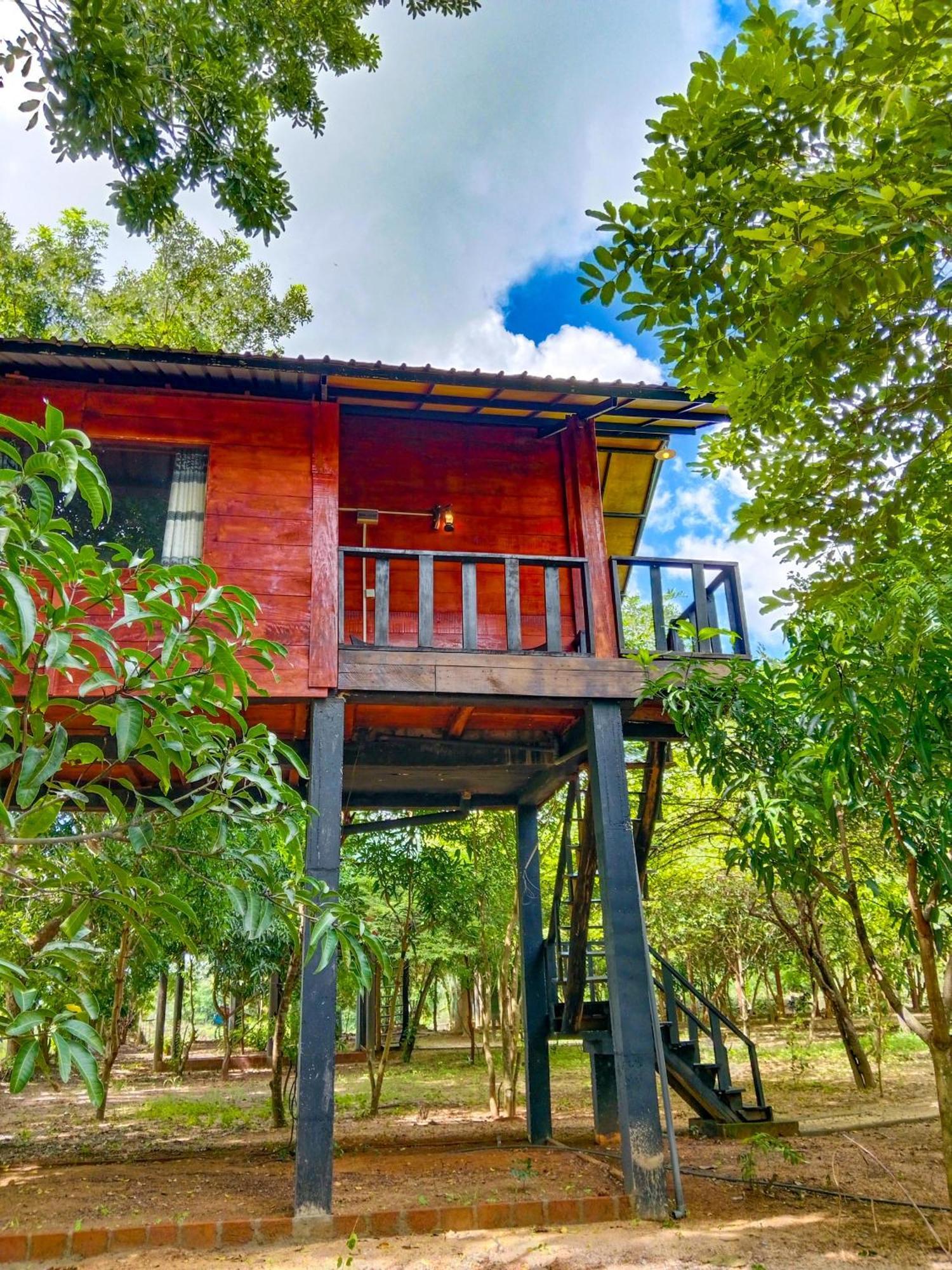 Ceylon Amigos Eco Resort Sigiriya Buitenkant foto
