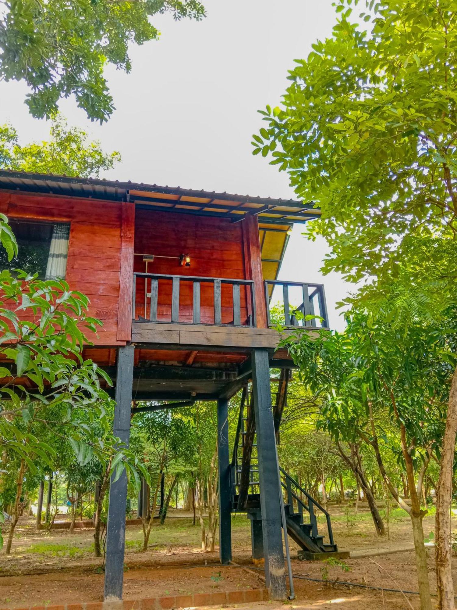 Ceylon Amigos Eco Resort Sigiriya Buitenkant foto