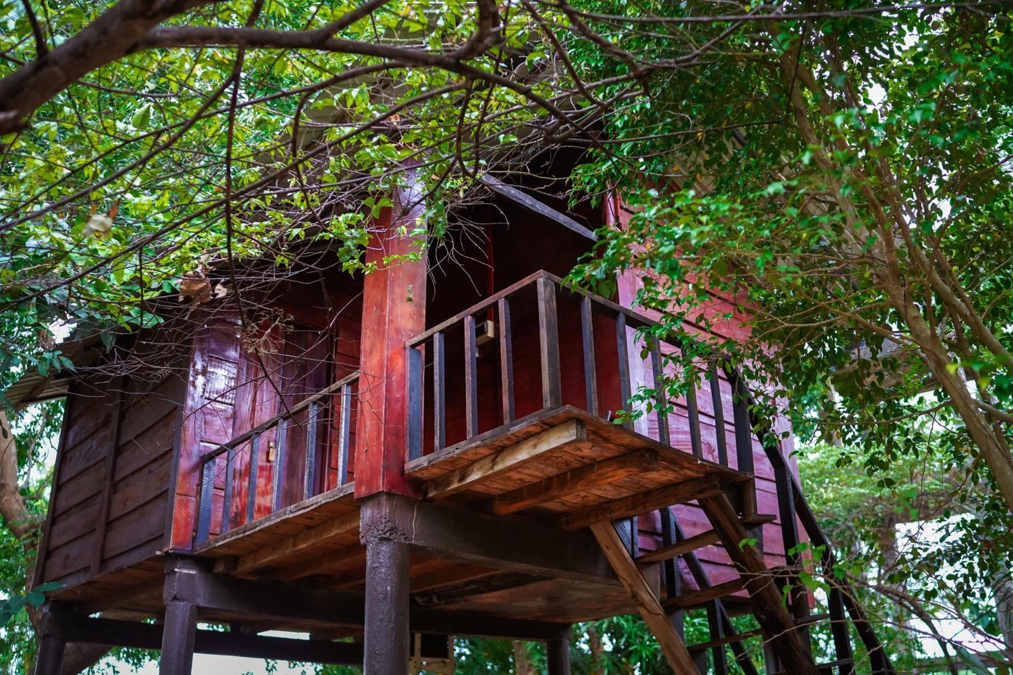 Ceylon Amigos Eco Resort Sigiriya Buitenkant foto