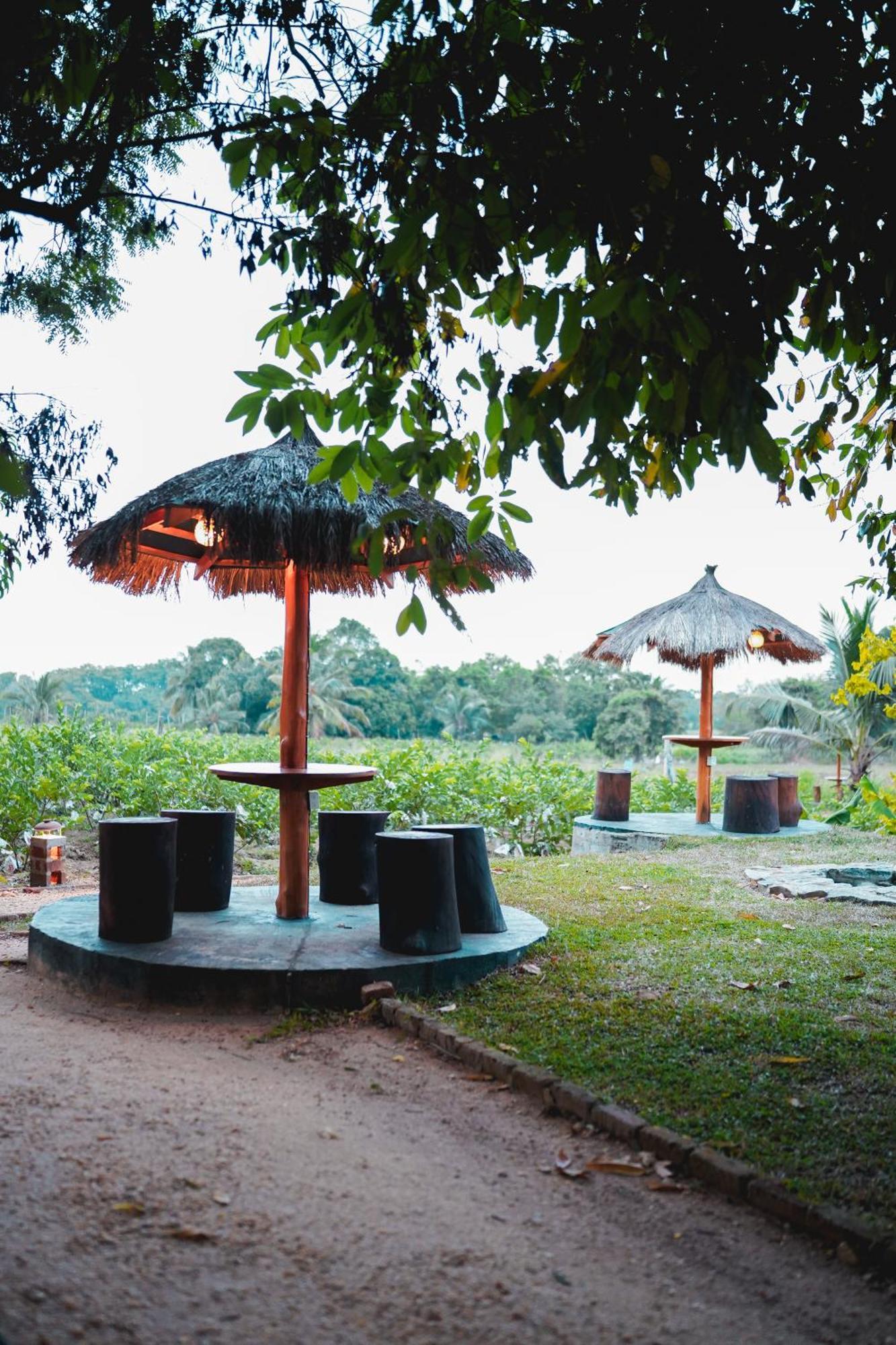 Ceylon Amigos Eco Resort Sigiriya Buitenkant foto
